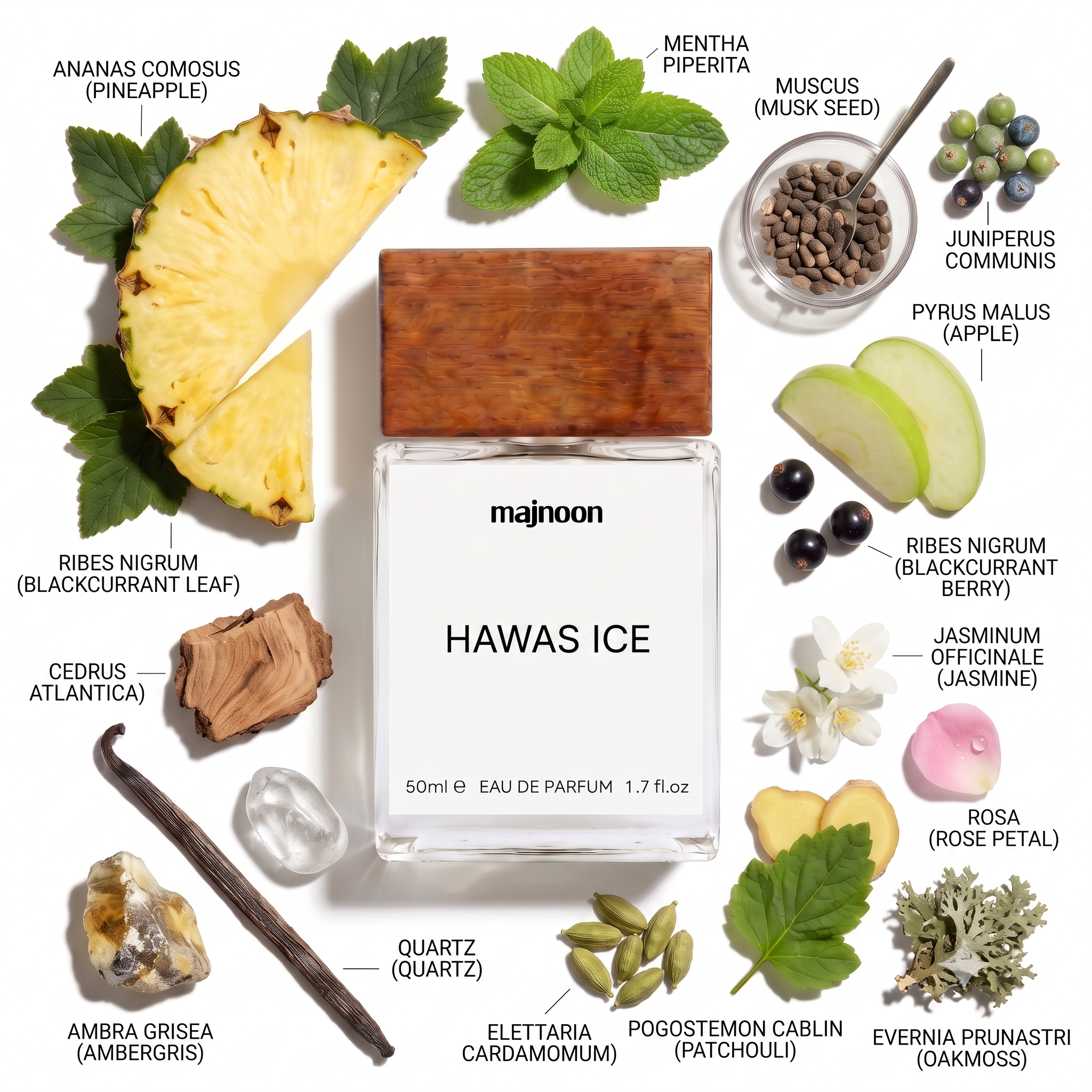 HAWAS ICE Inspired By R@s@s!