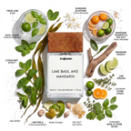 LIME BASIL AND MANDARIN Inspired By J0 M@l0n€