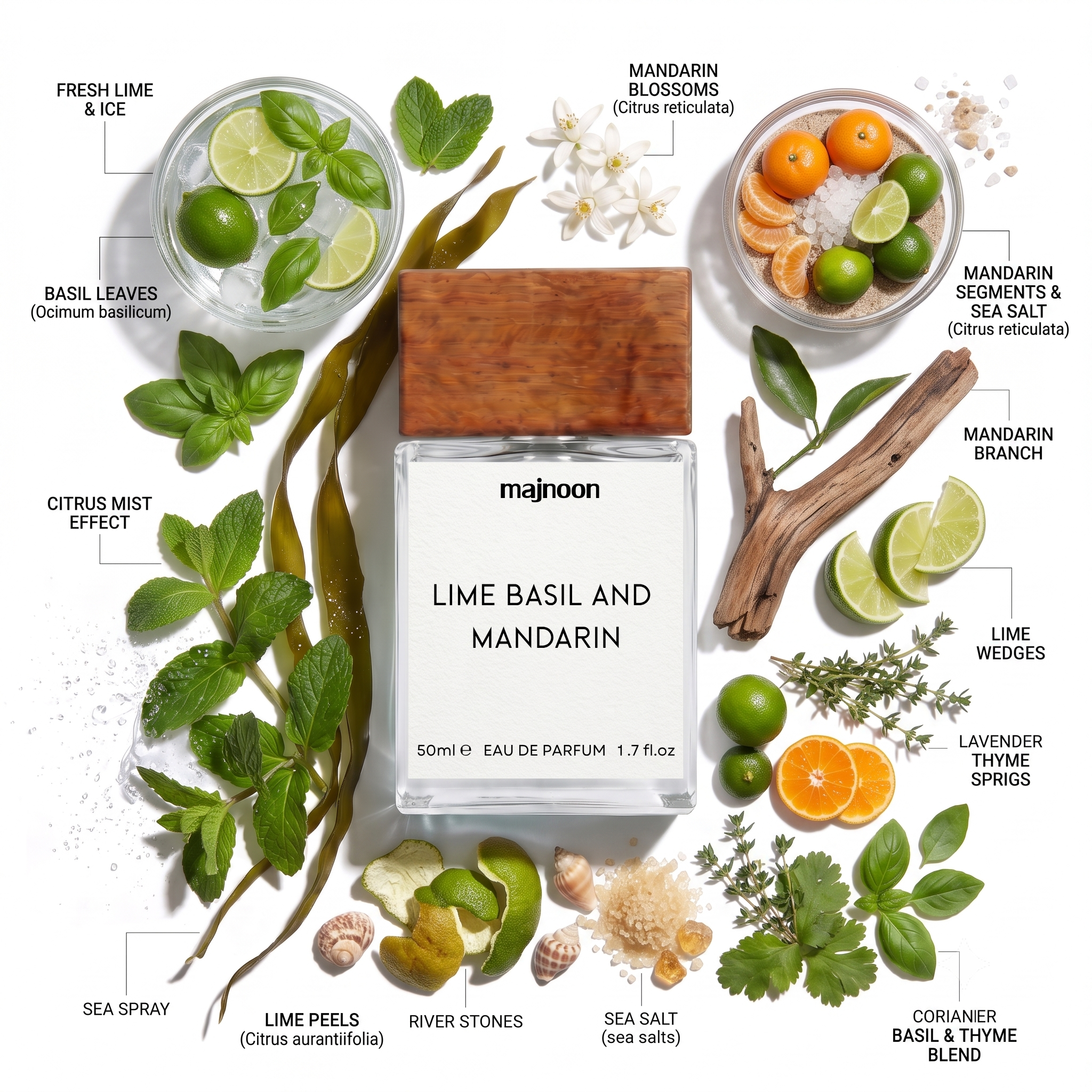 LIME BASIL AND MANDARIN Inspired By J0 M@l0n€