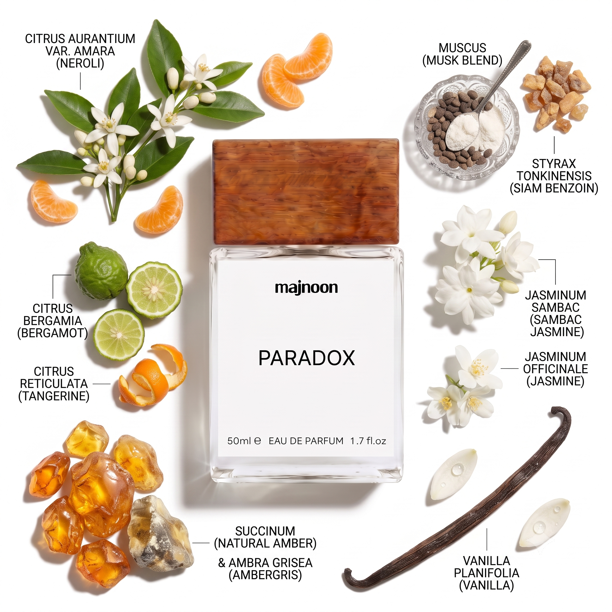 PARADOX Inspired By Pr@d@