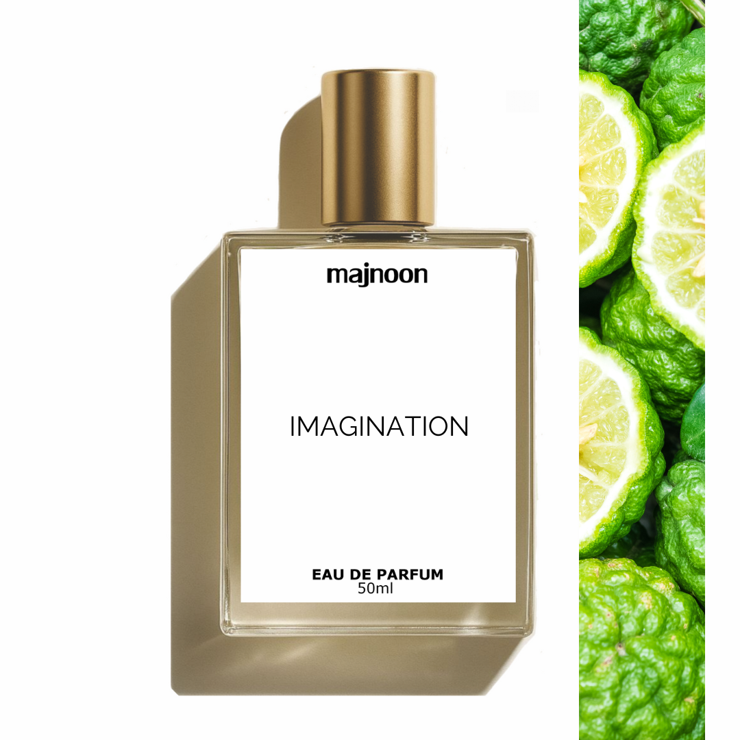 El Vi Imagination
