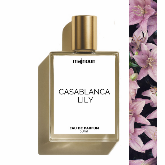 Casablanca Lily