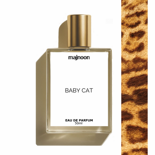 Yes Saint Laurence Babycat
